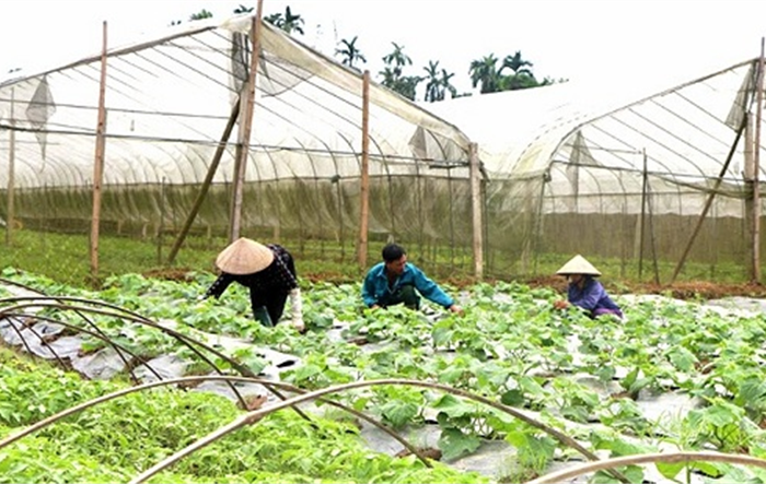 Đời sống nông dân khu vực nông thôn không ngừng được cải thiện và nâng cao