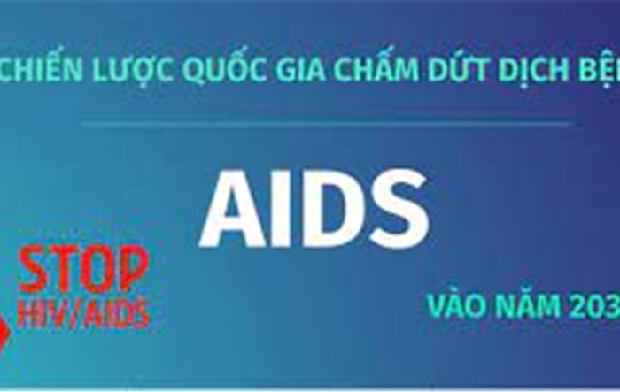 Huy động nguồn tài chính đảm bảo thực hiện Chiến lược quốc gia chấm dứt dịch bệnh AIDS vào năm 203