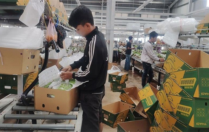 Quan hệ hữu nghị và láng giềng tốt đẹp Việt Nam-Campuchia là không thể tách rời