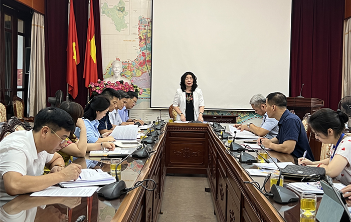 Phó Giám đốc Sở Văn hoá và Thể thao Trần Thị Vân Anh kiểm tra việc thực hiện 02 Quy tắc ứng xử trên địa bàn huyện Đông Anh