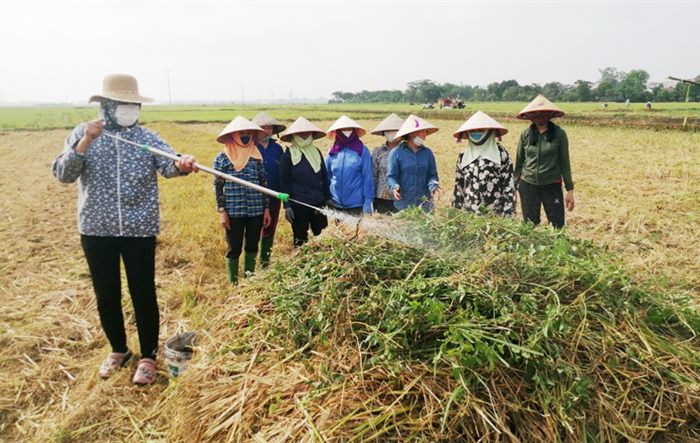 Hà Nội thúc đẩy tái sử dụng, tái chế biến phế phụ phẩm nông nghiệp thành nguyên liệu, nhiên liệu, sản phẩm thân thiện với môi trường