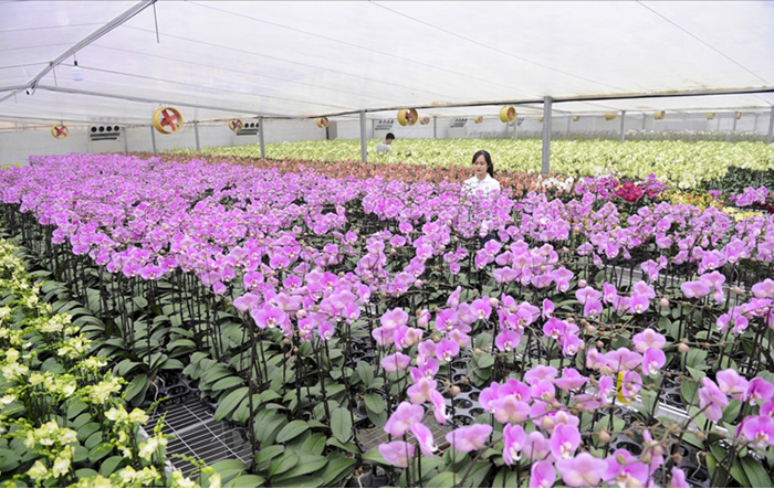 Đẩy mạnh đổi mới sáng tạo, chuyển giao công nghệ