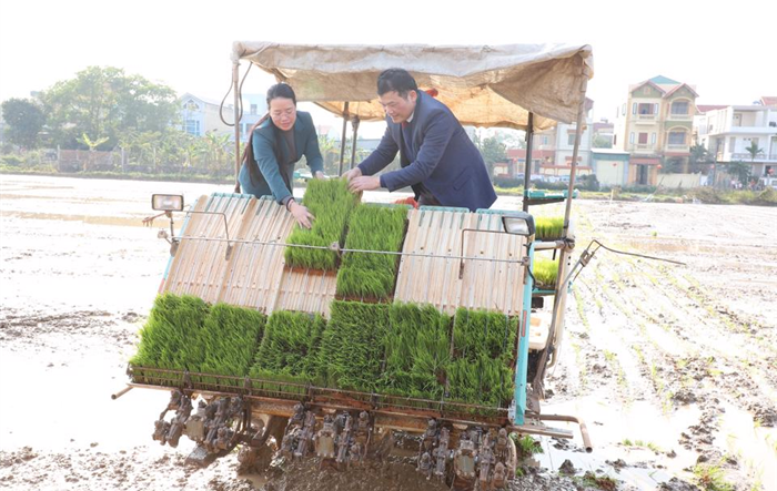 Huyện Thường Tín tổ chức Lễ hội xuống đồng sản xuất nông nghiệp năm 2023