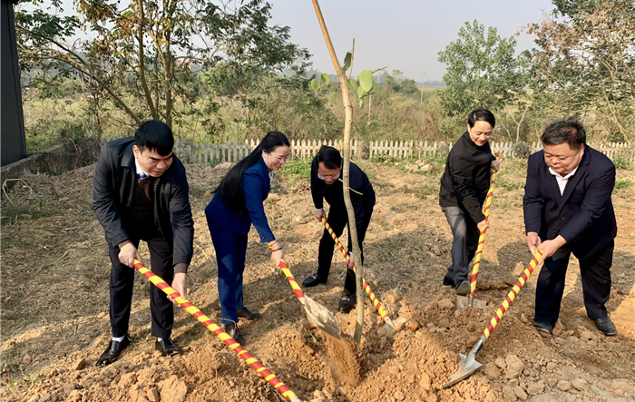 Chủ tịch Hội Nông dân thành phố tham gia Tết trồng cây tại xã Đồng Thái, huyện Ba Vì
