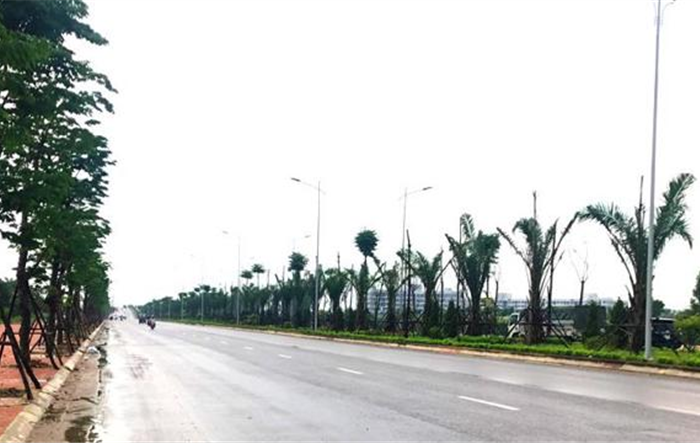Đẩy nhanh tiến độ thi công trục đường kinh tế phía Nam thành phố 
