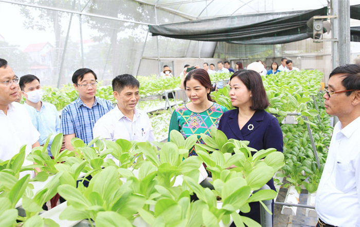 Hướng tới mục tiêu nâng cao chất lượng phục vụ nhân dân