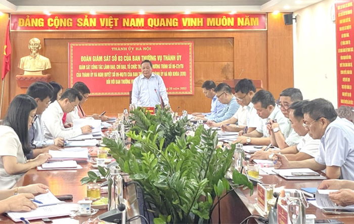 Huyện Mê Linh: Chú trọng bảo tồn văn hóa truyền thống, khai thác lợi thế phát triển văn hoá