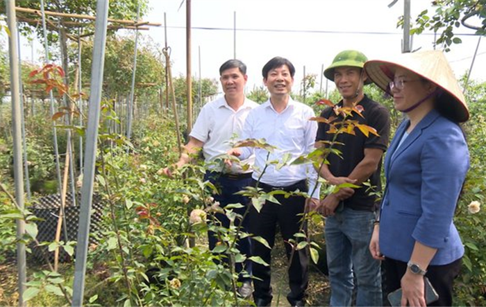 Phó Chủ tịch Trung ương Hội Nông dân Việt Nam Nguyễn Xuân Định khảo sát tại huyện Mê Linh