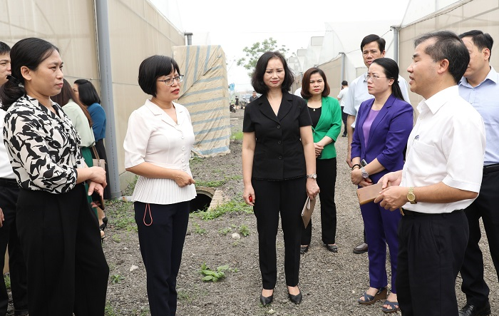 Ban Kinh tế - Ngân sách HĐND thành phố giám sát về thực hiện chính sách phát triển nông nghiệp tại huyện Phúc Thọ, Quốc Oai