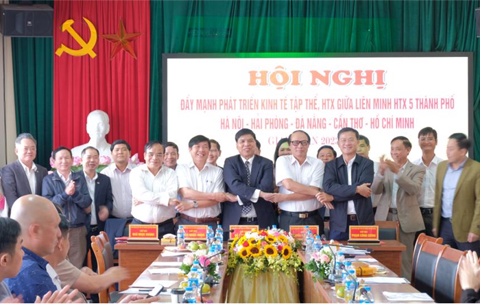 Tiếp tục đẩy mạnh phát triển kinh tế tập thể, hợp tác xã hiệu quả và bền vững