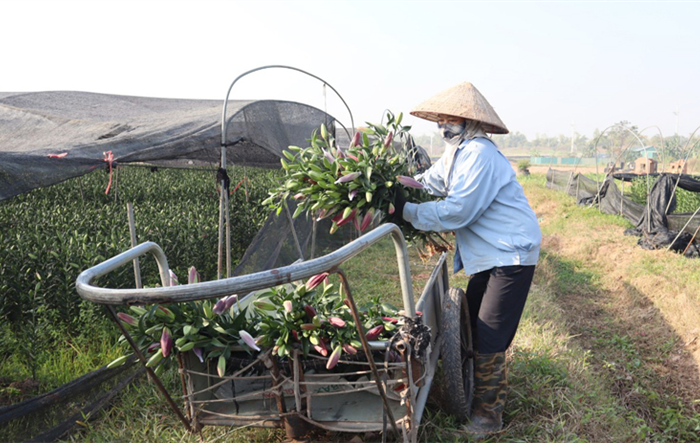 Hơn 2 năm triển khai thực hiện Chương trình số 04-CTr/TU của Thành ủy Hà Nội: Nông thôn Hà Nội trên chặng đường mới - Bài 2: Những nút thắt cần tháo gỡ
