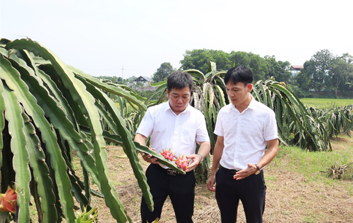 Hơn 2 năm triển khai thực hiện Chương trình số 04-CTr/TU của Thành ủy Hà Nội: Nông thôn Hà Nội trên chặng đường mới - Bài cuối: Động lực mới, tạo đà về đích