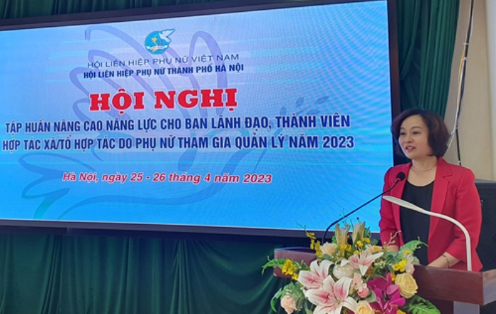 55 hợp tác xã, tổ hợp tác do phụ nữ làm chủ tham gia tập huấn nâng cao năng lực