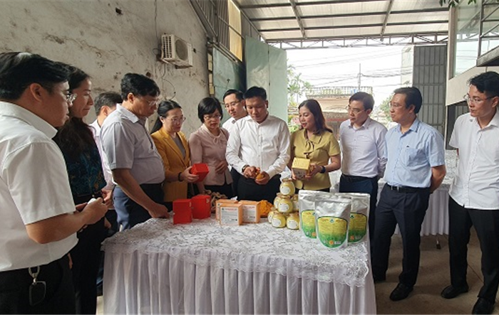 Trao đổi kinh nghiệm trong triển khai các cơ chế, chính sách trong phát triển nông nghiệp, nông thôn giữa thành phố Hà Nội và tỉnh Hưng Yên