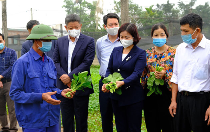Kiện toàn thành viên Ban Chỉ đạo Chương trình số 04-CTr/TU