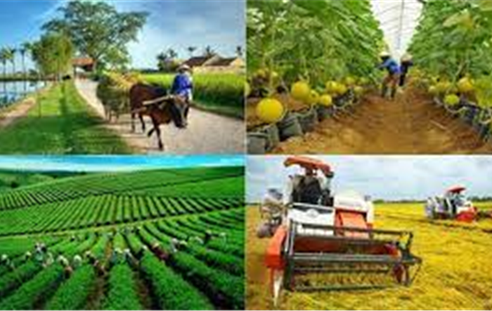 Tăng cường tuyên truyền Chương trình mục tiêu quốc gia giảm nghèo bền vững (giảm nghèo về thông tin)