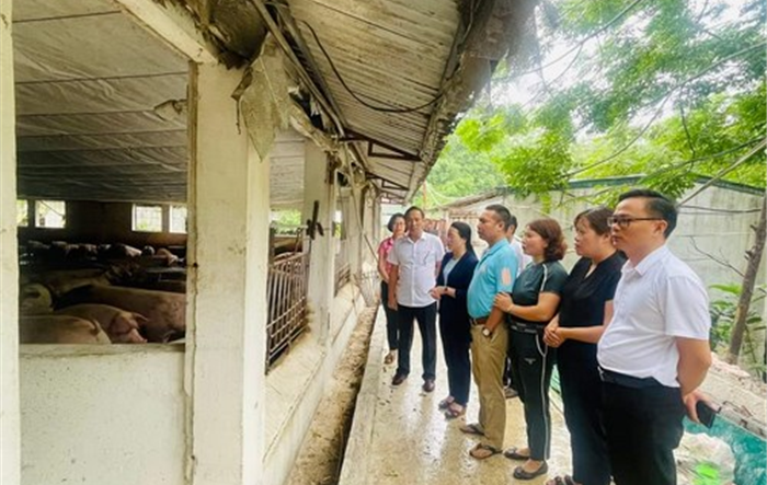 Chủ tịch Hội Nông dân thành phố: Thẩm định gương nông dân đề nghị xét tặng danh hiệu nông dân Thủ đô xuất sắc năm 2023