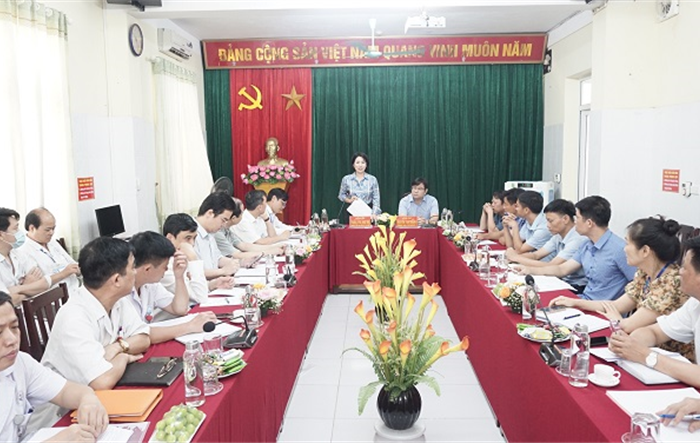 Giám đốc Sở Y tế thành phố làm việc với Bệnh viện đa khoa huyện Chương Mỹ