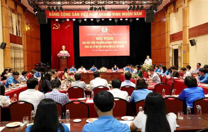 Hội nghị lần thứ 23, Ban Chấp hành Liên đoàn Lao động thành phố khoá XVI