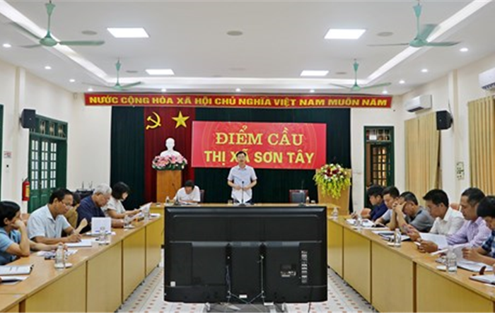 Thị xã Sơn Tây tích cực phát triển sản xuất vụ đông 2023