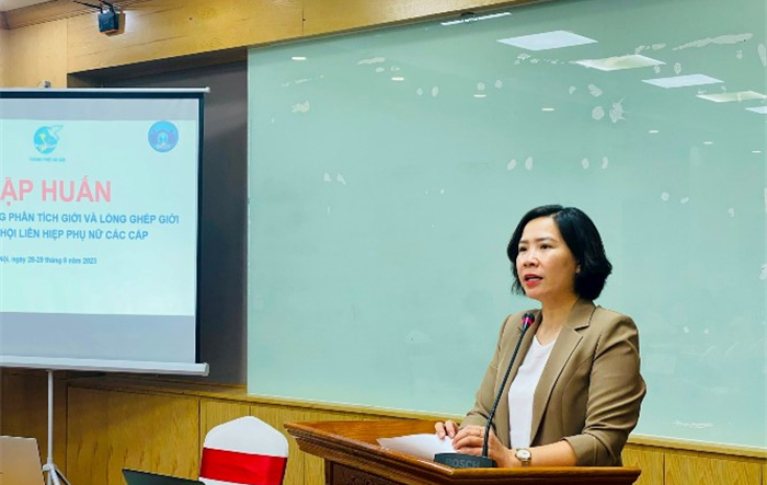 Tập huấn nâng cao kỹ năng phân tích giới và lồng ghép giới cho cán bộ Hội phụ nữ các cấp