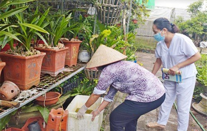 Thị xã Sơn Tây triển khai phòng, chống sốt xuất huyết