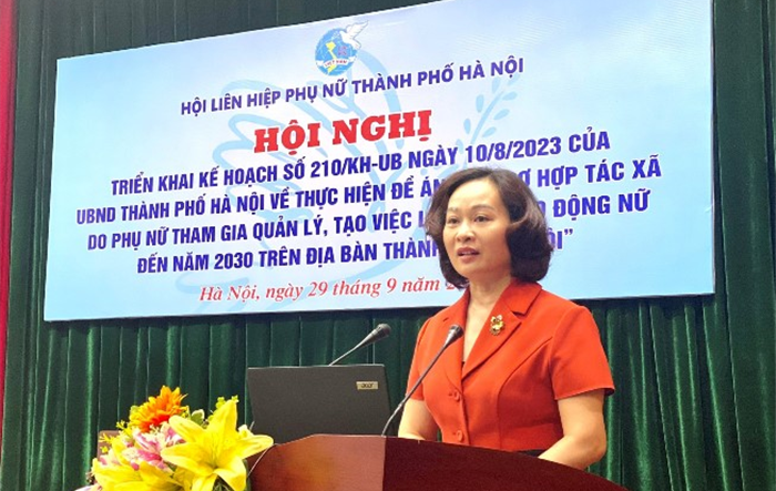 Triển khai Đề án hỗ trợ hợp tác xã do phụ nữ tham gia quản lý 