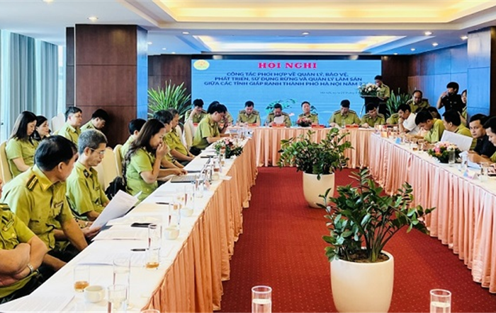 Giải quyết kịp thời các vụ việc bảo vệ rừng khu vực giáp ranh Hà Nội