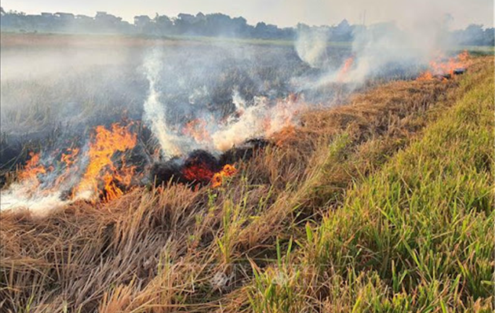 Hà Nội: Tăng cường các biện pháp quản lý nhà nước đối với hoạt động đốt rơm rạ, các phụ phẩm cây trồng