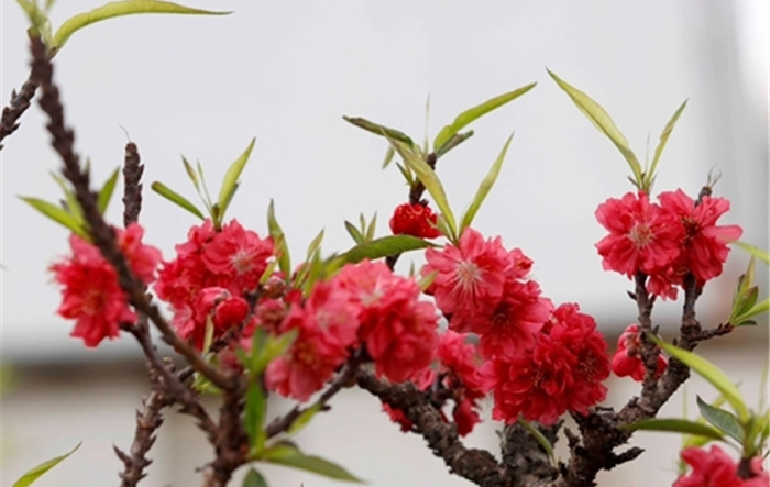 Tạo đột phá, phát triển hưng thịnh