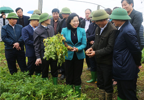 Sáng 07-02, đồng chí Ngô Thị Thanh Hằng, Ủy viên Trung ương Đảng, Phó Bí thư Thường trực Thành ủy, Trưởng ban Chỉ đạo Chương trình số 02-CTr/TU của Thành ủy Hà Nội về Phát triển nông nghiệp, xây dựng nông thôn mới, nâng cao đời sống nông dân giai đoạn 2016-2020 đã kiểm tra tiến độ thực hiện chương trình tại huyện Thạch Thất.