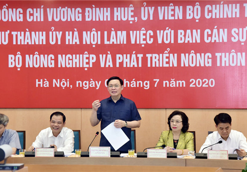 Chiều 08-7, phát biểu tại buổi làm việc với Ban Cán sự Đảng Bộ Nông nghiệp và Phát triển nông thôn, đồng chí Vương Đình Huệ, Ủy viên Bộ Chính trị, Bí thư Thành ủy, Trưởng đoàn đại biểu Quốc hội thành phố Hà Nội cho biết, thời gian qua mặc dù chịu tác động mạnh về dịch bệnh, nhưng nông nghiệp, nông thôn và nông dân Thủ đô vẫn phát triển khá toàn diện. Tham dự buổi làm việc có các Ủy viên Trung ương Đảng: Bí thư Ban Cán sự Đảng - Bộ trưởng Bộ Nông nghiệp và Phát triển nông thôn Nguyễn Xuân Cường, Phó Bí thư Thường trực Thành ủy Ngô Thị Thanh Hằng (Trưởng ban Chỉ đạo Chương trình số 02-CTr/TU của Thành ủy về "Phát triển nông nghiệp, xây dựng nông thôn mới, nâng cao đời sống nông dân giai đoạn 2016-2020"), Phó Bí thư Thành ủy - Bí thư Ban Cán sự Đảng - Chủ tịch UBND Thành phố Nguyễn Đức Chung.