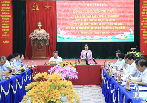 Sáng 11-11, Ủy viên Trung ương Đảng, Phó Bí thư Thường trực Thành ủy Hà Nội Nguyễn Thị Tuyến, Trưởng ban Chỉ đạo Chương trình số 04-CTr/TU của Thành ủy Hà Nội khóa XVII về "Đẩy mạnh thực hiện hiệu quả Chương trình mục tiêu quốc gia xây dựng nông thôn mới gắn với cơ cấu lại ngành nông nghiệp và phát triển kinh tế nông thôn, nâng cao đời sống vật chất, tinh thần của nông dân giai đoạn 2021-2025" (Chương trình số 04-CTr/TU) đã chủ trì buổi làm việc với Ban Thường vụ Huyện ủy Mỹ Đức về kết quả thực hiện nhiệm vụ thời gian qua, trọng tâm là công tác xây dựng nông thôn mới trên địa bàn.