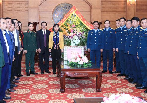 Nhân kỷ niệm 50 năm Chiến thắng “Hà Nội - Điện Biên Phủ trên không”, chiều 17-12, Ủy viên Trung ương Đảng, Phó Bí thư Thường trực Thành ủy Hà Nội Nguyễn Thị Tuyến đã tới thăm, tặng quà Sư đoàn Phòng không 361 (Quân chủng Phòng không - Không quân) và các gia đình chính sách quận Hoàng Mai.