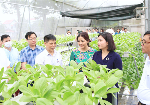Sáng 31-5, Ủy viên Trung ương Đảng, Phó Bí thư Thường trực Thành ủy Hà Nội Nguyễn Thị Tuyến, Trưởng ban Chỉ đạo Chương trình số 04-CTr/TU của Thành ủy về "Đẩy mạnh thực hiện hiệu quả chương trình mục tiêu quốc gia xây dựng nông thôn mới gắn với cơ cấu lại ngành nông nghiệp và phát triển kinh tế nông thôn, nâng cao đời sống vật chất, tinh thần của nông dân giai đoạn 2021-2025" (Chương trình số 04-CTr/TU) chủ trì buổi làm việc với Ban Thường vụ Huyện ủy Sóc Sơn về kết quả thực hiện nhiệm vụ chính trị thời gian qua, nhiệm vụ thời gian tới, trọng tâm là công tác xây dựng nông thôn mới trên địa bàn huyện.